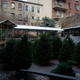 Illustration for article titled Photo Essay: NYCs Incredible Christmas Tree Seller Subculture